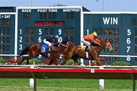 each way meaning|each way meaning horse racing.